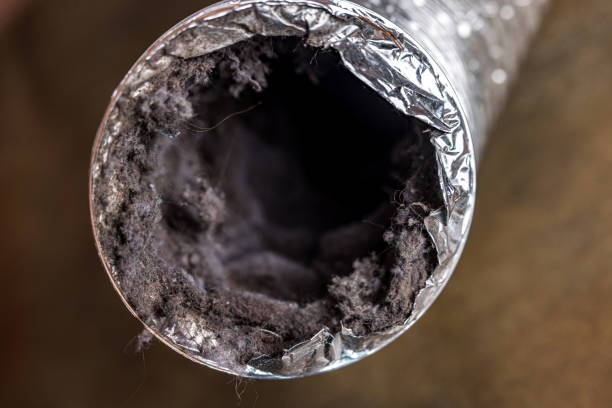 Best Air Duct Cleaning Company Near Me  in Loch Lomond, VA